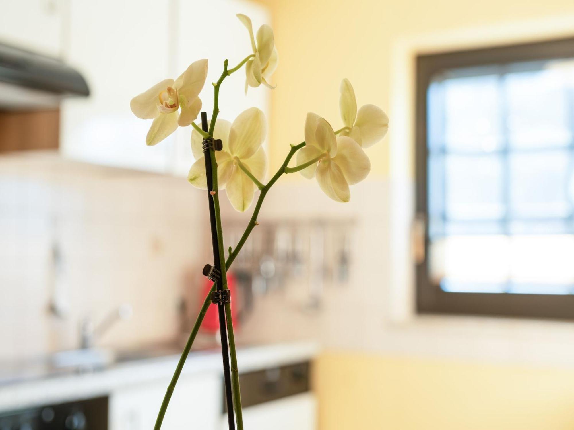 A Modern Apartment In The Hunsr Ck Region S Romantic Drohn Valley Merschbach Kültér fotó